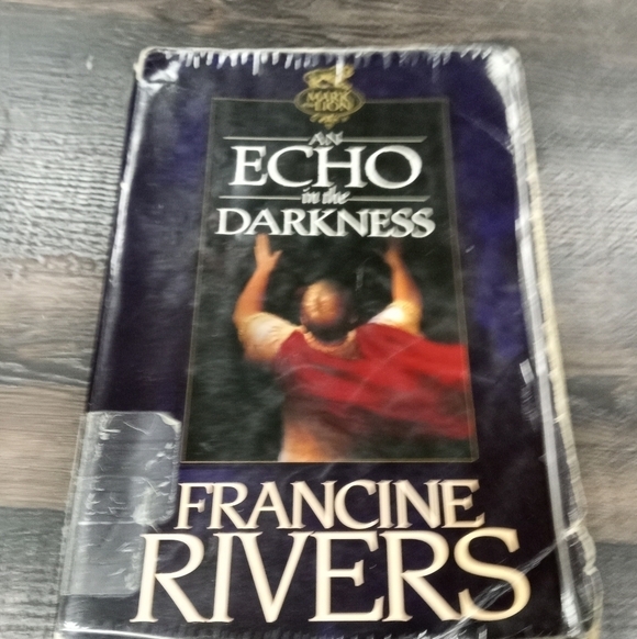 An Echo in the Darkness by Francine Rivers Mark of the Lion Series Christian - Picture 1 of 1